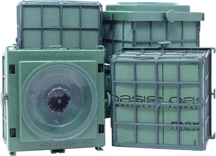 Actual product image Oasis Auto Corso 11 x 11 x 9 cm, 6 pieces