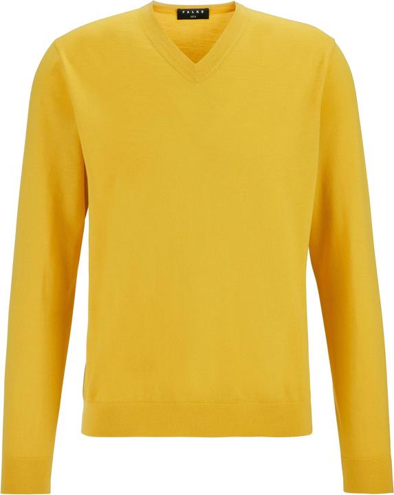 Falke Herren Pullover (XL)