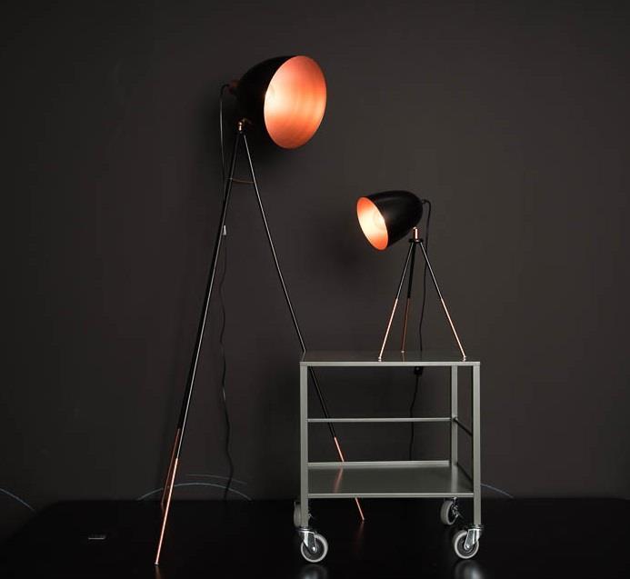 Actual product image EGLO Dundee (E27)