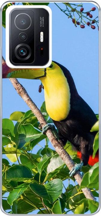 Tucan