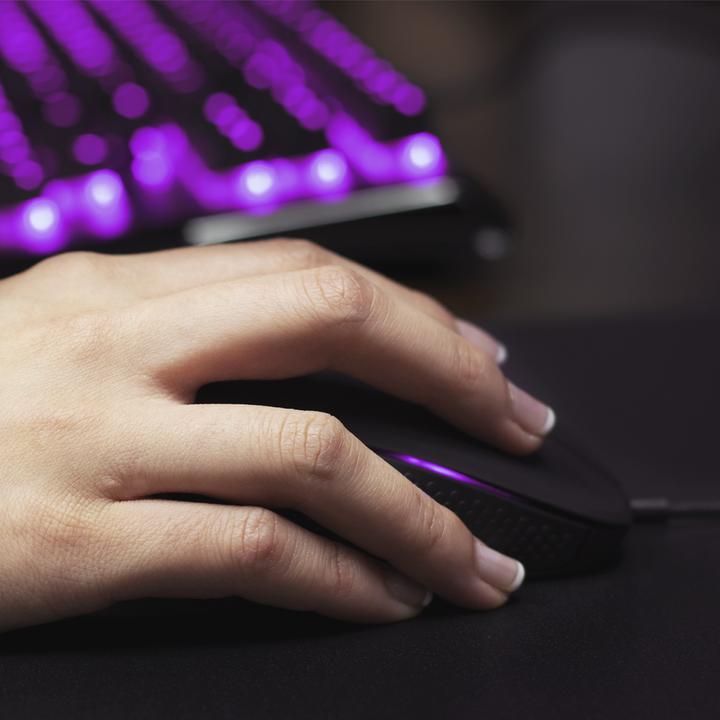 Produktbild SteelSeries Rival 310 (Kabelgebunden)