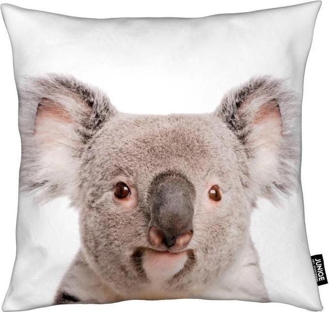 Produktbild Juniqe Koala - Koalas (50 x 50 cm)