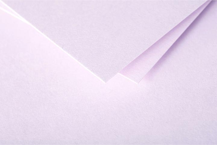 Actual product image Pollen Envelopes (4400 x)