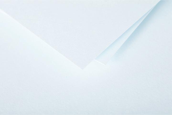 Actual product image Pollen Enveloppes (DL, 20 x)