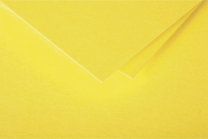 Image du produit Pollen Carte pliée (210 g/m², 25 x, 110 x 155 mm)