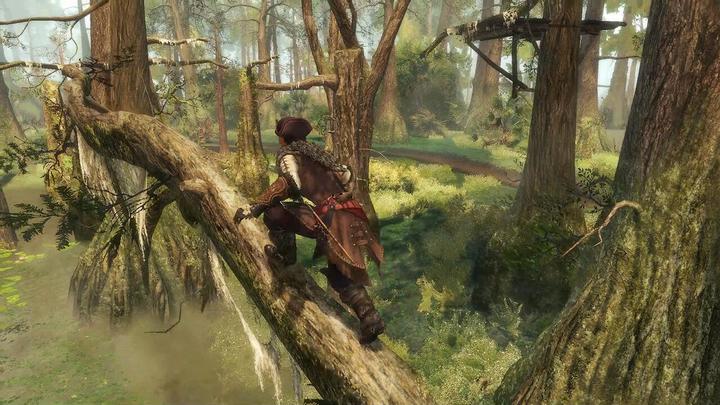 Actual product image Ubisoft Assassin's Creed III (3) + Liberation HD Remaster (Switch, Switch Lite, Switch OLED, EN)