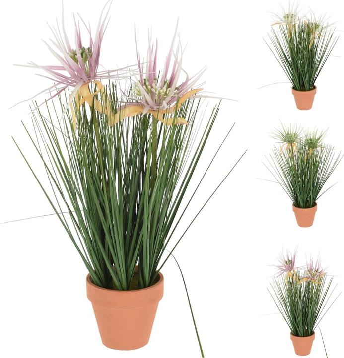 Immagine prodotto Casativo Erba decorativa in un vaso chic (41 cm)