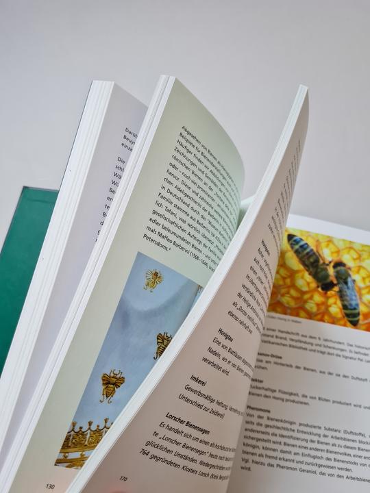 Produktbild Honig für Kunst &amp Gesellschaft (Deutsch, Joseph Beuys, Felix Droese, Hartmut Kraft, Hede Buhl, 2024)