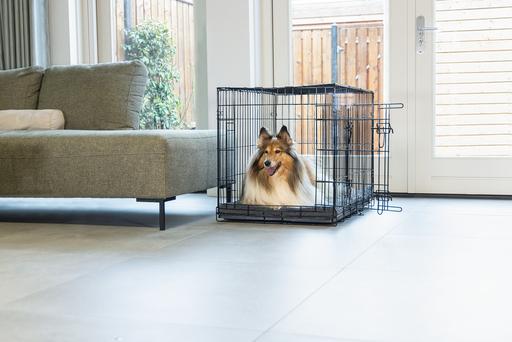 Immagine prodotto Beeztees Gabbia metallica a 2 porte (Gabbia per cani)