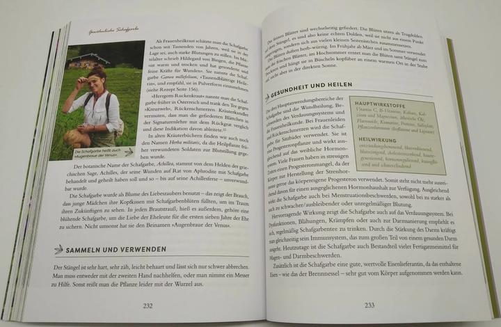 Actual product image Meine Wildkräuter (German, Martina Fischer, Dorothea Steinbacher, 2023)