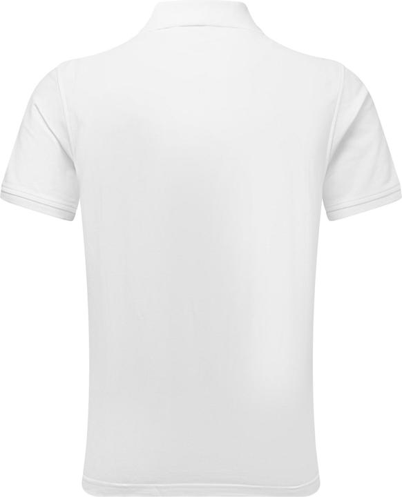Actual product image Polo Coton, hommes (XL)