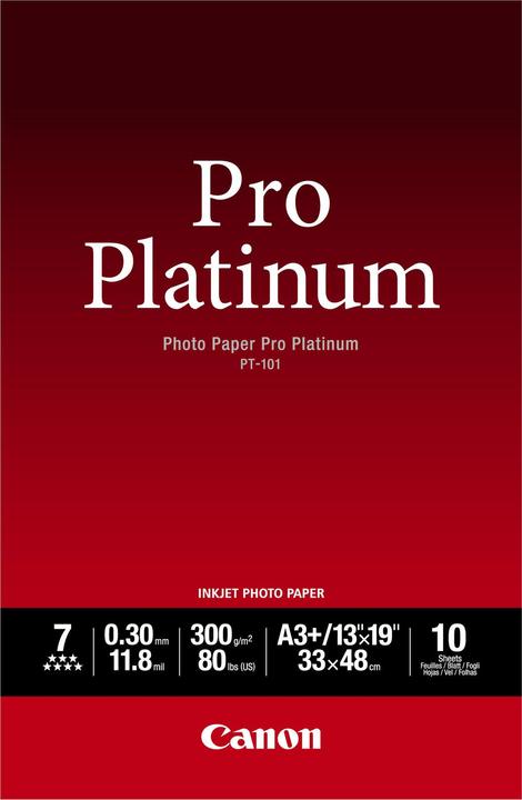 Actual product image Canon PT-101 Pro Platinum (300 g/m², A3+, 10 x)