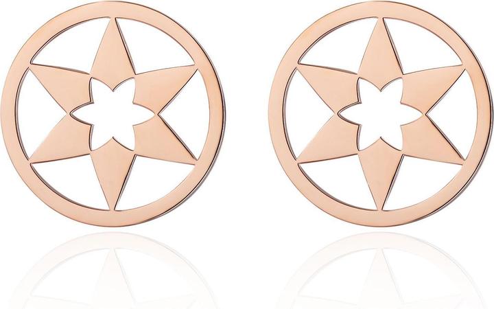 Ailoria Ohrringe (Stainless steel)