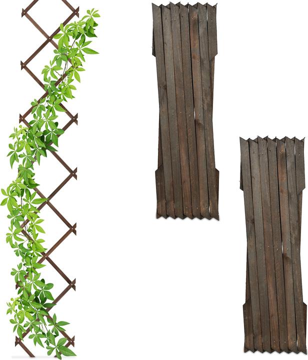 Actual product image Relaxdays 3x trellis (1 cm, 30 cm)