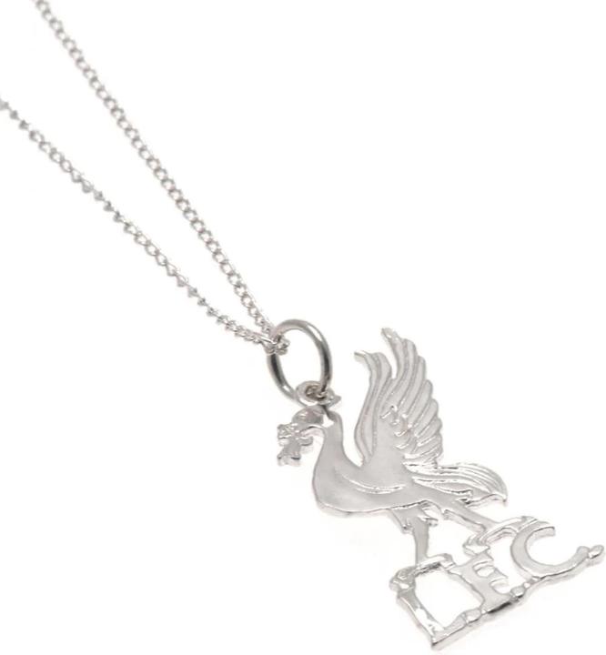Image du produit Score Draw Pendentif en argent sterling Liverbird et chaîne (100% argent sterling)