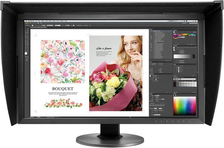 Eizo Cg2730 (2560 x 1440 pixels, 27")