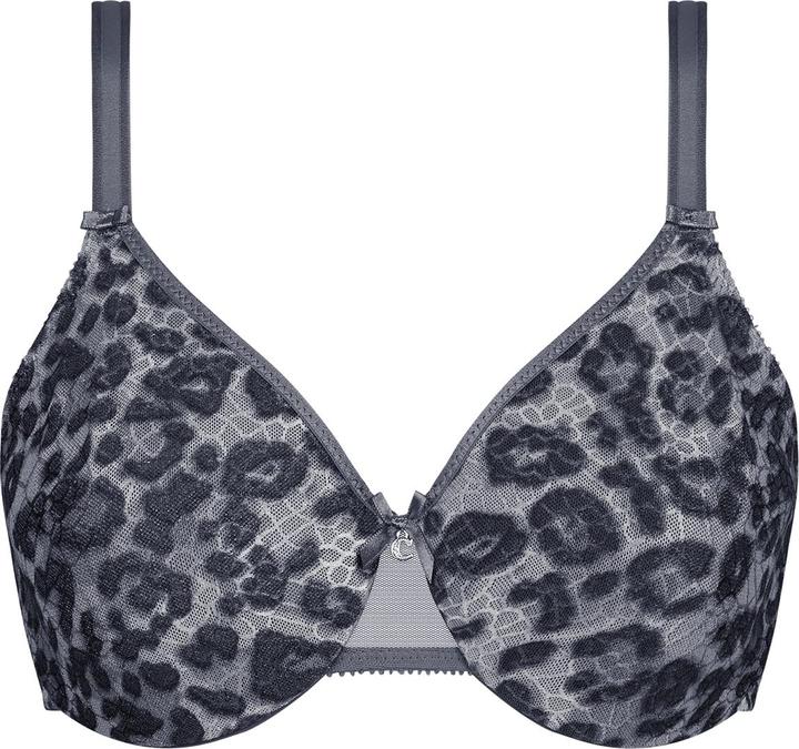 Grey Leopard