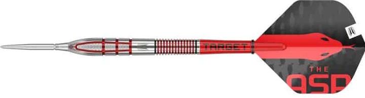 Immagine prodotto Target Nathan Aspinall G2 SP (24 g)