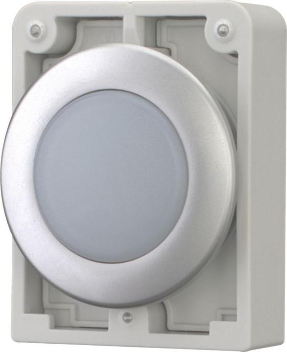 Actual product image Eaton Indicator light 30mm flat white