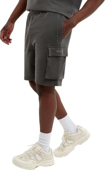 Immagine prodotto Nicce shorts garment dye mercury (L)