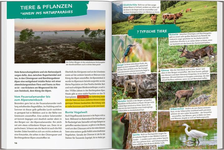 Produktbild OUTDOOR GUIDE Reiseführer Chiemgau & Berchtesgadener Land (Deutsch, Andreas Gruhle, 2024)