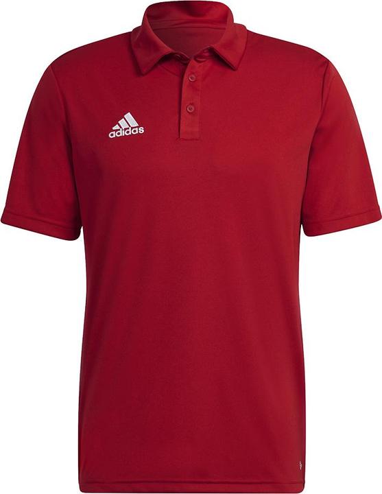 adidas Entrada 22 Poloshirt Herren