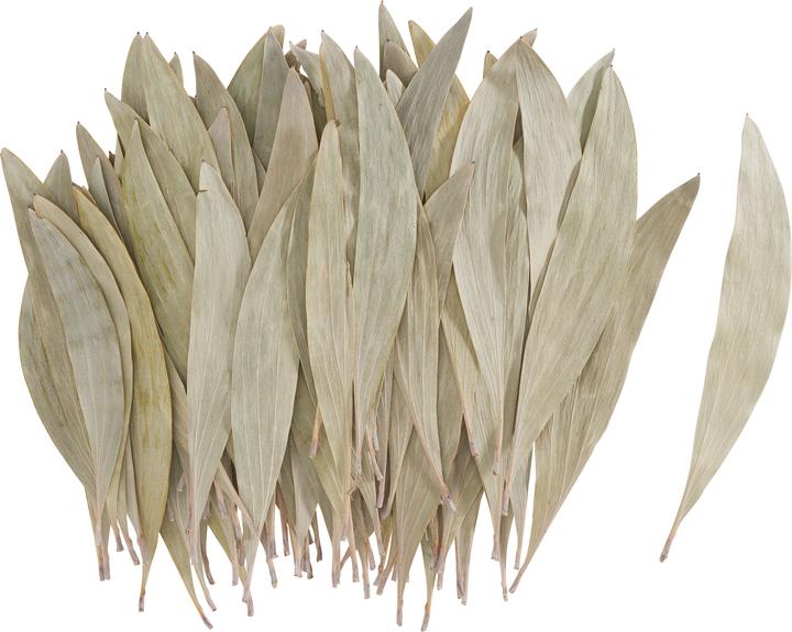 Produktbild Othmar Eukalyptus Blätter, getrocknet, ca. 60 g
