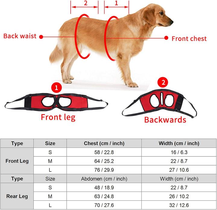 Actual product image Filfeel Hunde-Tragehilfe für Vorderbeine (M, Dog)