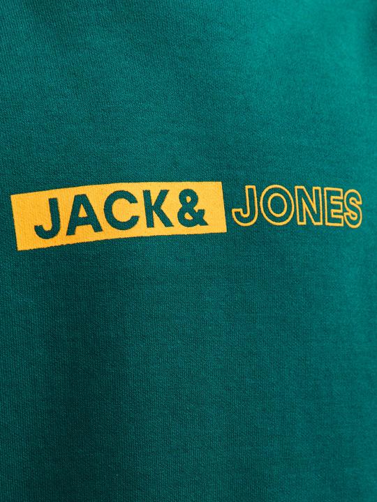 Image du produit Jack & Jones Imprimé Sweatshirt à col rond Pour les garçons Sweatshirt à col rond (176)