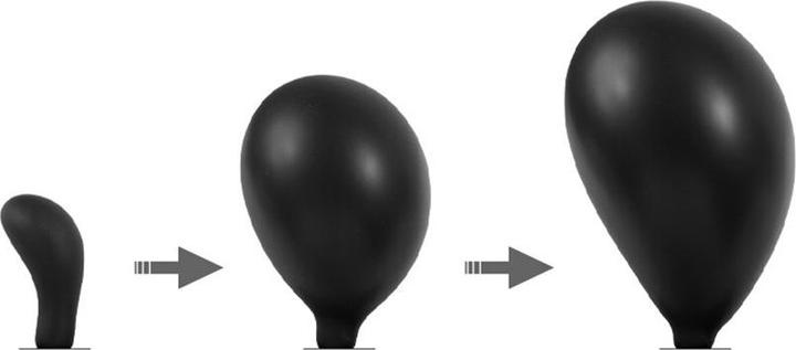 Actual product image Rimba Inflatable curved anal plug with pump