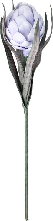 Image du produit EGLO LIVING Molave (15 cm)