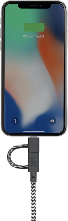 Image du produit Native Union Cable (2 m, USB 3.1)