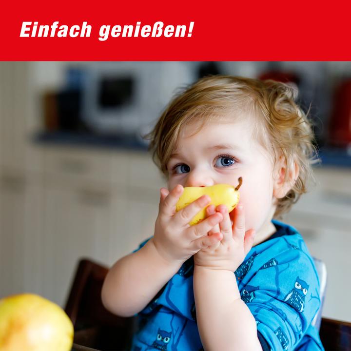 Produktbild Swissinno Fruchtfliegenfalle mit Lebensmittelköder 1er