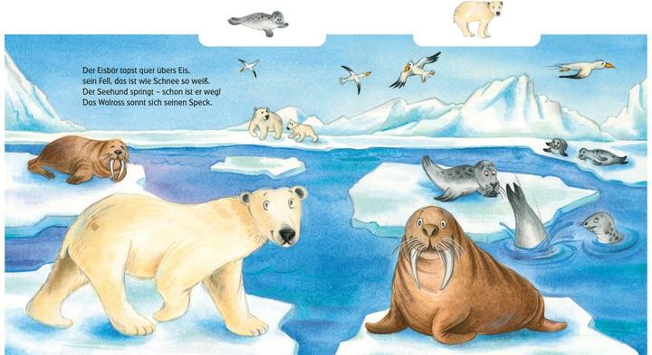 Image du produit Regardez les gros animaux! (Allemand)