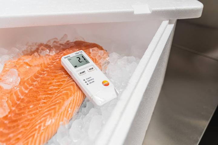Actual product image Testo 184 T2 - Temperature data logger for transport monitoring (Thermometers)