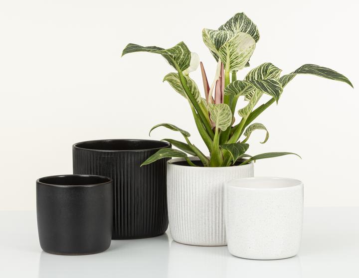 Actual product image Scheurich Flowerpot Ebano 16 cm, Black (17.60 cm)