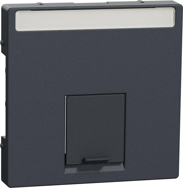 Produktbild Merten Zentralplatte UAE/IAE 1f System M anth MEG4573-0414