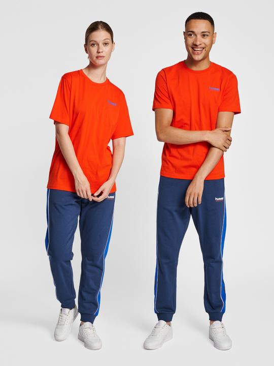 Actual product image hummel Lgc Jose T-Shirt (M)