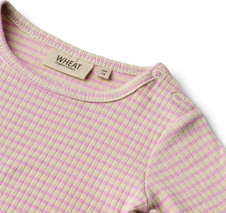 Actual product image Wheat L S Berti (62)