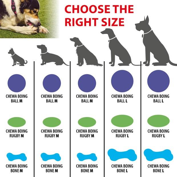 Image du produit Ferplast Chewa boing bone L - Jouet pour chien