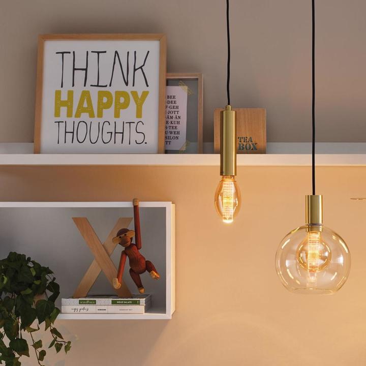 Immagine prodotto Paulmann Lampade speciali (E27, 3.60 W, 120 lm, 1 x, G)