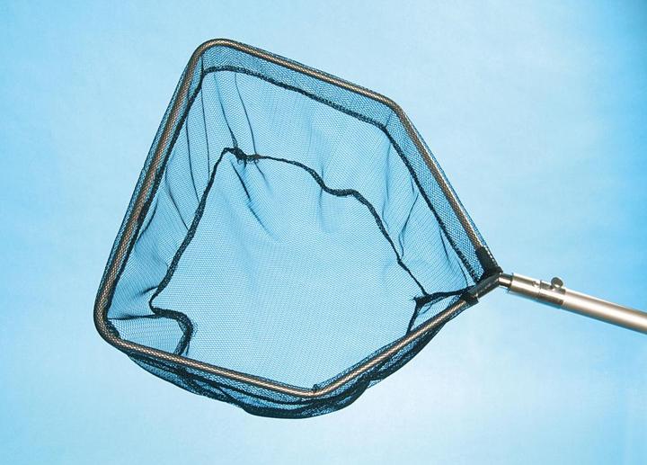 Image du produit Oase Épuisette