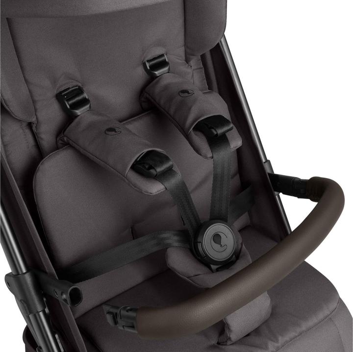 Actual product image ABC Design Ping 3 Trekking Buggy - Reisebuggy ab 6 Monaten bis 22 kg