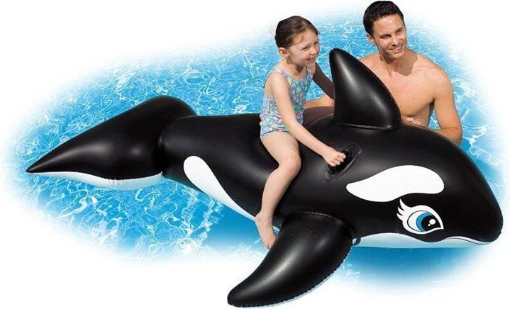 Actual product image Intex Whale