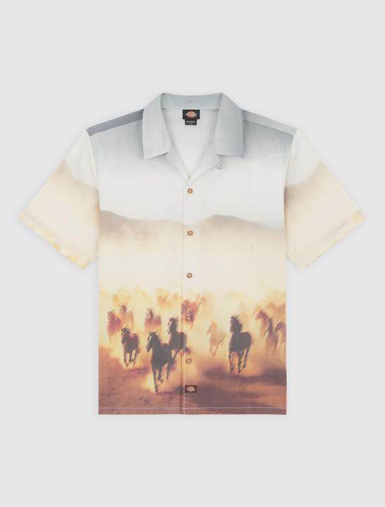 Actual product image Dickies Running Wild Shirt SS (M)