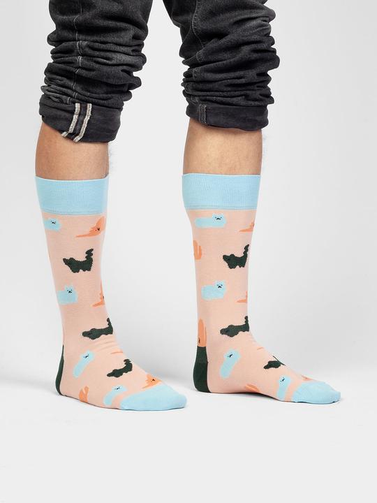 Actual product image DillySocks Purrrfect (Single pack, 41 - 46)