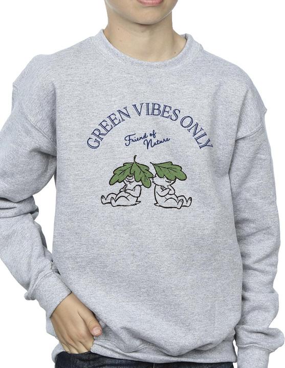Image du produit Disney - Sweat CHIP 'N DALE GREEN VIBES ONLY - Garçon (104)