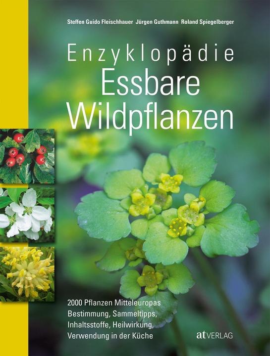 Enzyklopädie Essbare Wildpflanzen (Deutsch, Steffen Guido Fleischhauer, 2013)
