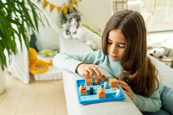 Produktbild Smart Games Cats Boxes (Deutsch, Französisch, Italienisch, Englisch)