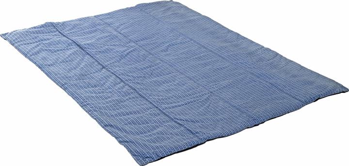 Actual product image Amazonas Molly